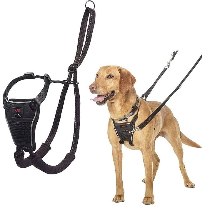 Halti No Pull Harness